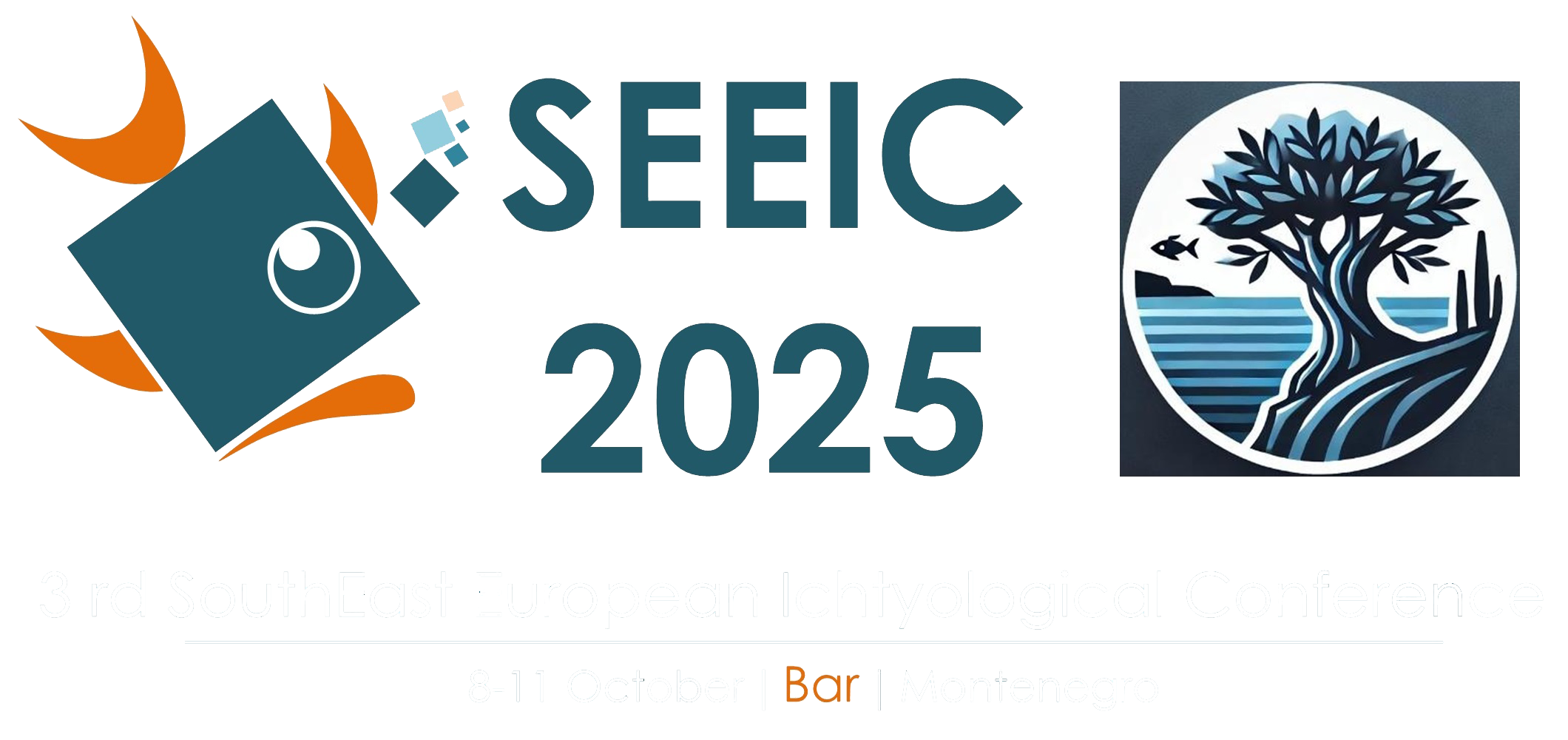 SEEIC 2025